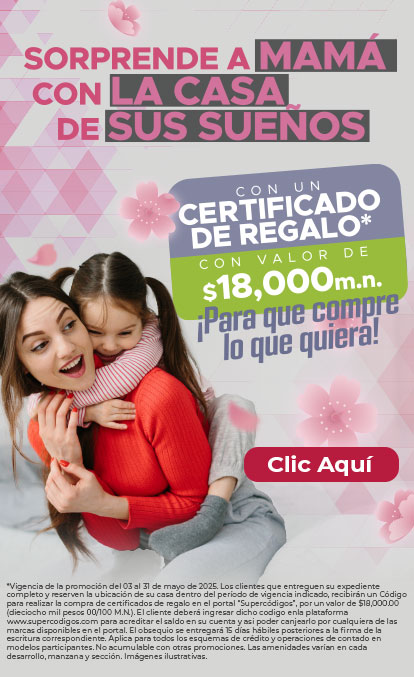 sorprende a mamá con la casa de sus sueños